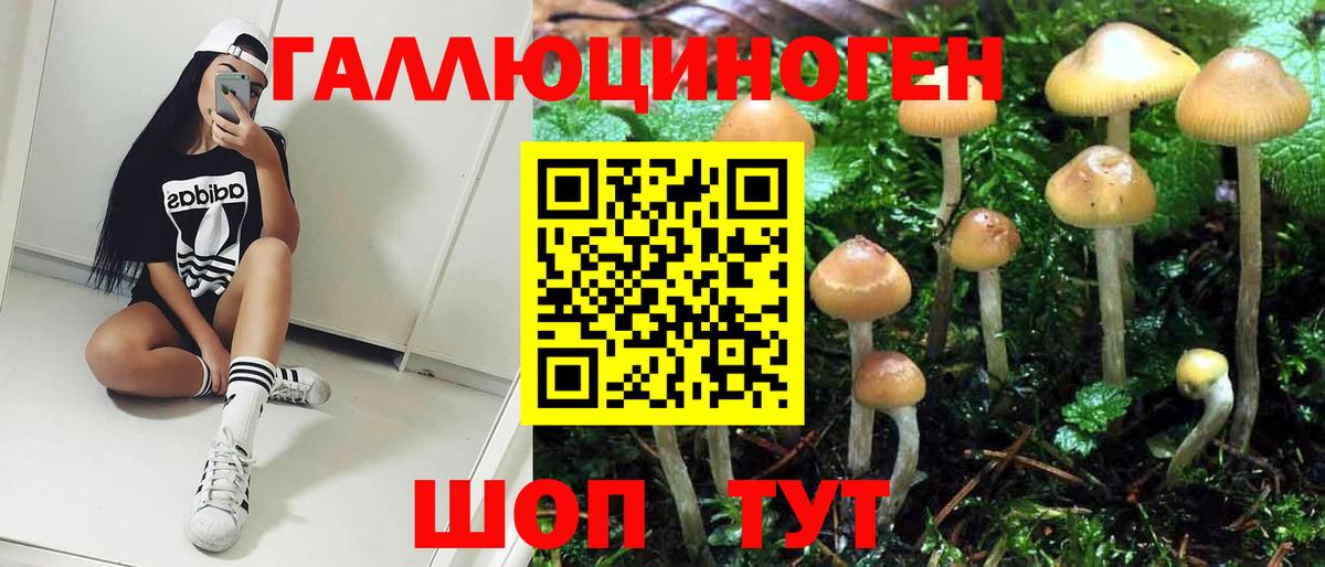 Галлюциногенные грибы прущие грибы Новоуральск